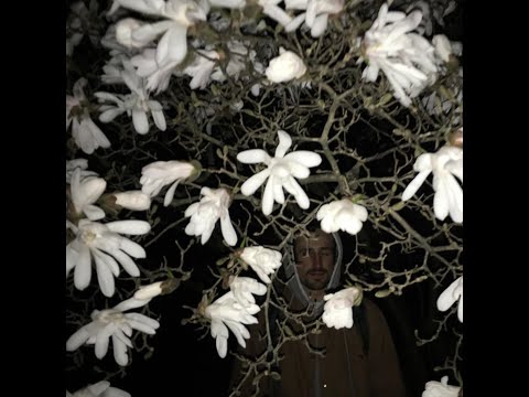 Augustus (boxboys) ~ interim ep