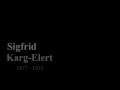 Karg-Elert: Praise the Lord with Drums and Cymbals - Beat Kaufmann Karg-Elert: Praise the Lord with Drums and Cymbals