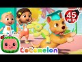 Best Of BINGO Doggie Daycare Puppy Play MORE CoComelon Nursery Rhymes Songs
