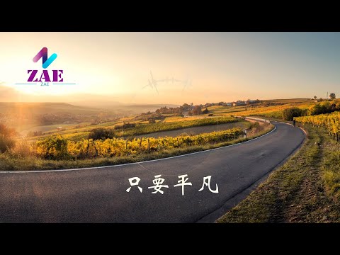 只要平凡 张杰 -张碧晨 （中文音樂）【動態歌詞】