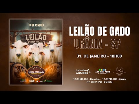 LEILÃO DE URÂNIA  - SP 31/01/2024