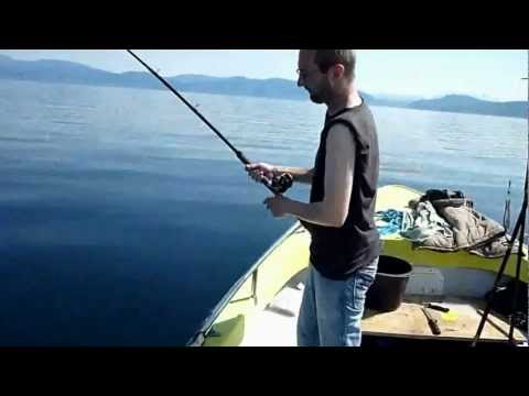 Tysnes 2012 - Lumb und Leng in klein