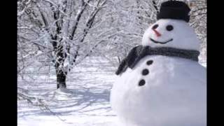 Walking in the Air - Howard Blake