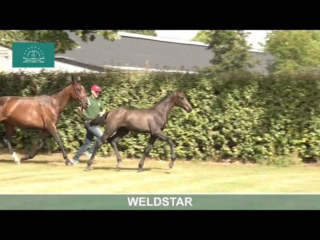 WELDSTAR