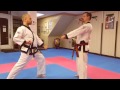 Tang Soo Do One Step Technique 18
