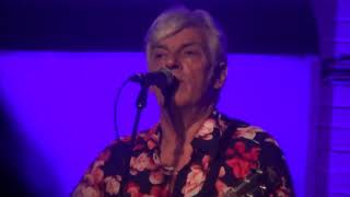 Robyn Hitchcock-Dear Prudence(Beatles cover) live in Milwaukee, WI 4-5-19