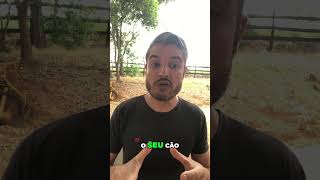 SÃO COISAS SIMPLES QUE MUDAM COMPLETAMENTE A SAÚDE