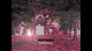 'Veterano' by Harmonia