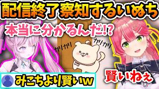配信終了を察知してカリカリしてくる賢いいぬち【さくらみこ/博衣こより/ホロライブ切り抜き】