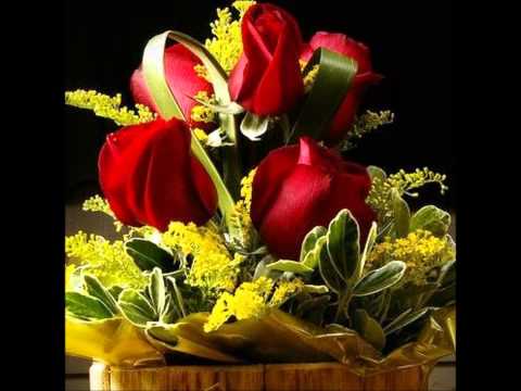 Saverio Mercadante - Flute Concerto in E minor