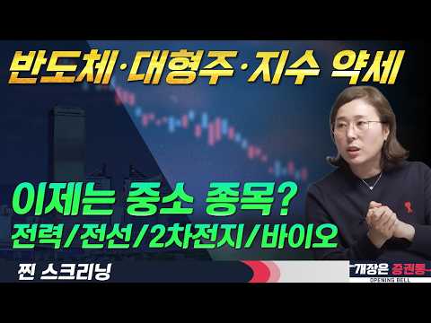 대형주보다는 중형·코스닥 순환매 대응 전략(F. 전력·전선·2차전지·바이오 등 관심) #박진희 #찐스크리닝 #개장은증권통 영상 썸네일