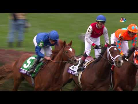 2018 Breeders' Cup Juvenile Turf - Line of Duty