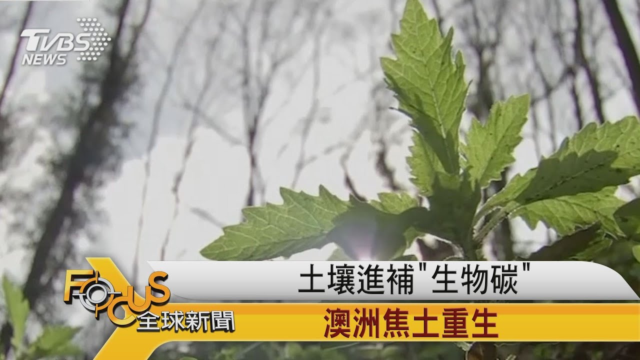 土壤進補「生物碳」澳洲焦土重生