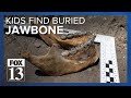 Human jawbone, teeth found buried in sand at Bear Lake