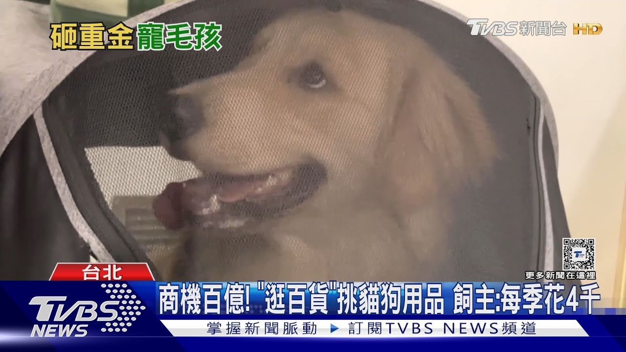 商機百億!「逛百貨」挑貓狗用品 飼主:每季花4千
