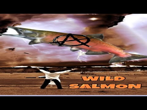 Wild Salmon vs Farm Raised Salmon What's the difference?