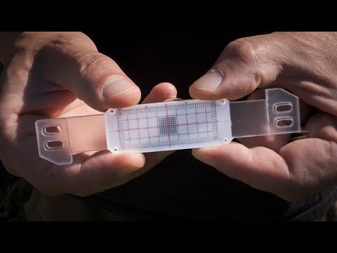 Monitoring a Wall Crack with a Tell-Tale