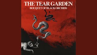 Sybil The Spider Consumes Himself