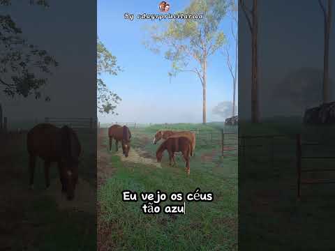 Sitio Wanderley Gioielli, Nhandeara, São Paulo, Brasil. Gostou? Segue, Curte, Comente,  Compartilhe