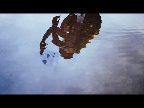 Dante YN - Warmer Regen