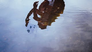 Warmer Regen Lyrics English Translation