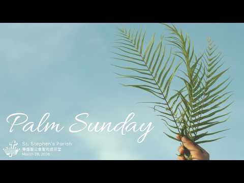 St. Stephen's Parish [SSP]