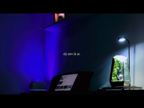 Dù em là ai - Như Việt