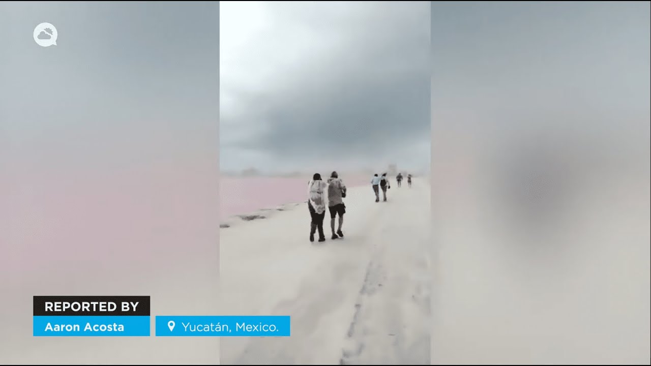 youtube video id=QLZpG_tEsaU