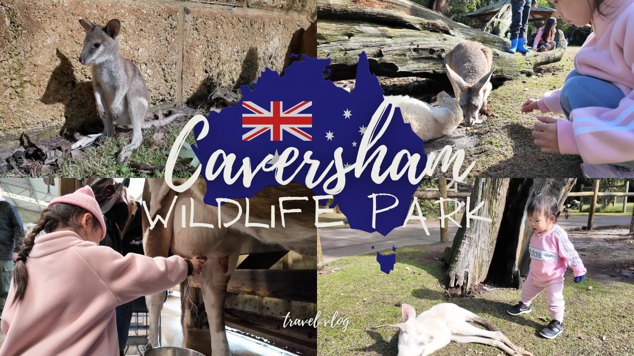 Embark on an immersive virtual tour of Caversham Wildlife Park.