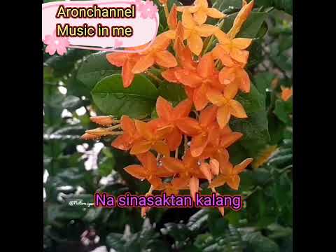 hindi ako katulad niya "with lyrics by angeline quinto