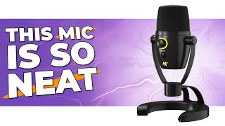Video thumbnail for Neat Bumblebee II USB Microphone Review by Tech Nuovo