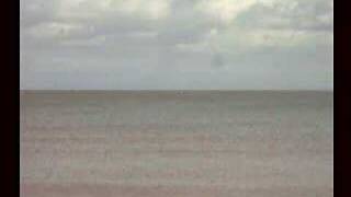 preview picture of video 'camera shy dolphins off New Quay / cardigan bay'