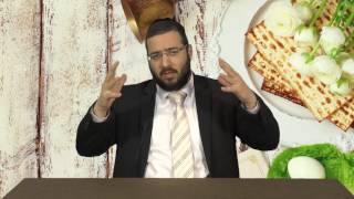 ניקיונות לפסח