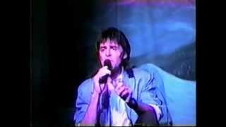 Mark Lindsay - Arizona (Live, 1990)