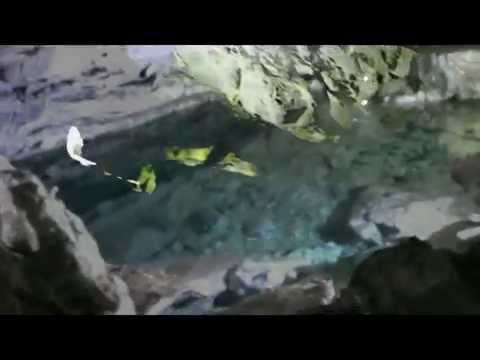 Sonic Scope - Long Way(Ice cave)