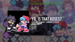 Cover art for YO IS THAT ROSES?!