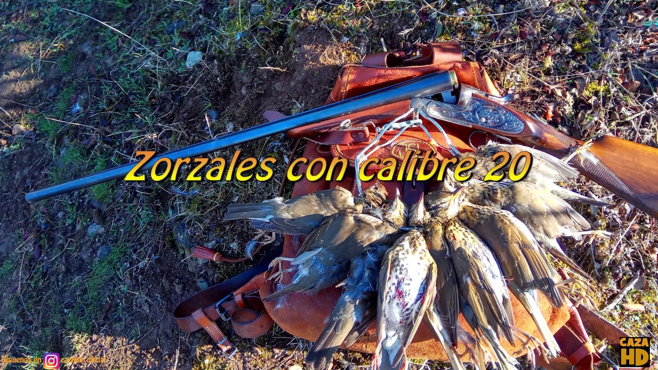 De zorzales con calibre 20/ Hunting with 20 gaugue