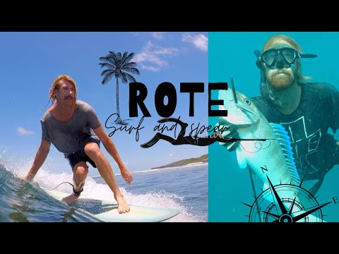 11 /  Shore diving dream! Big Job fish and crayfish. Also, Is this the best longboard wave in Rote?