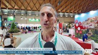 TSD News del 08/09/2026