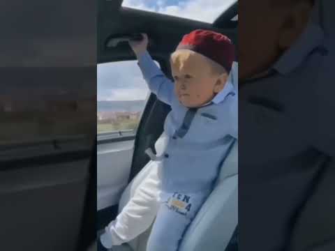Thumbnail for Hasbulla Magomedov in Lamborghini Hanging on for Dear Life. by orange lamborghini