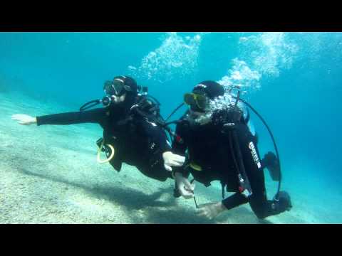 Scuba Dive Split
