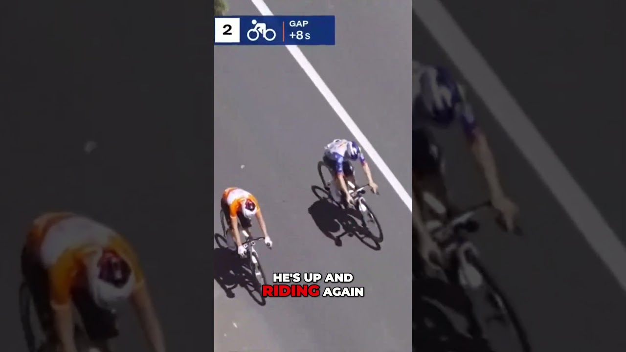 Kangaroo Crashes Cyclist In Shocking Wildlife Encounter! #TDU - YouTube
