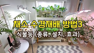 채소 수경재배방법3 - 식물등 살까말까? 빛이 1도 없는 방에서 잘 자라는 비결 /바형, 스탠드형, 자바라형, 집게형