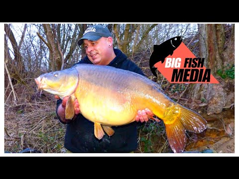 Karpfenangeln im Winter - Erfolgreich mit Pellets