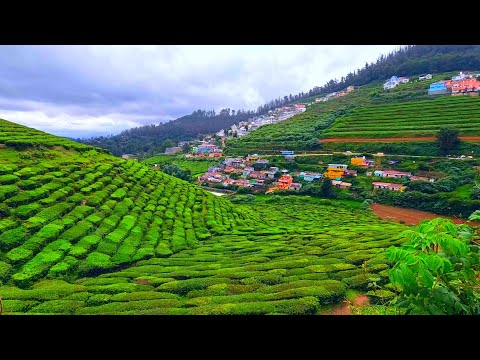 Indian countryside walk tour | Udhagai | Walk around the Ooty villages | Tamilnadu state | India