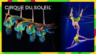 Cirque du Soleil IMPRESSIVE Trapeze Acrobatics (2026 YouTube Showcase)