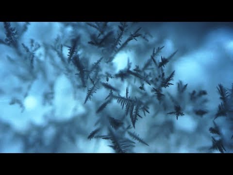 Watching Ice Crystals Take Shape On Dry Ice Is A Near-Magical Experience