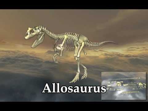 Body Disassembly 3D Video