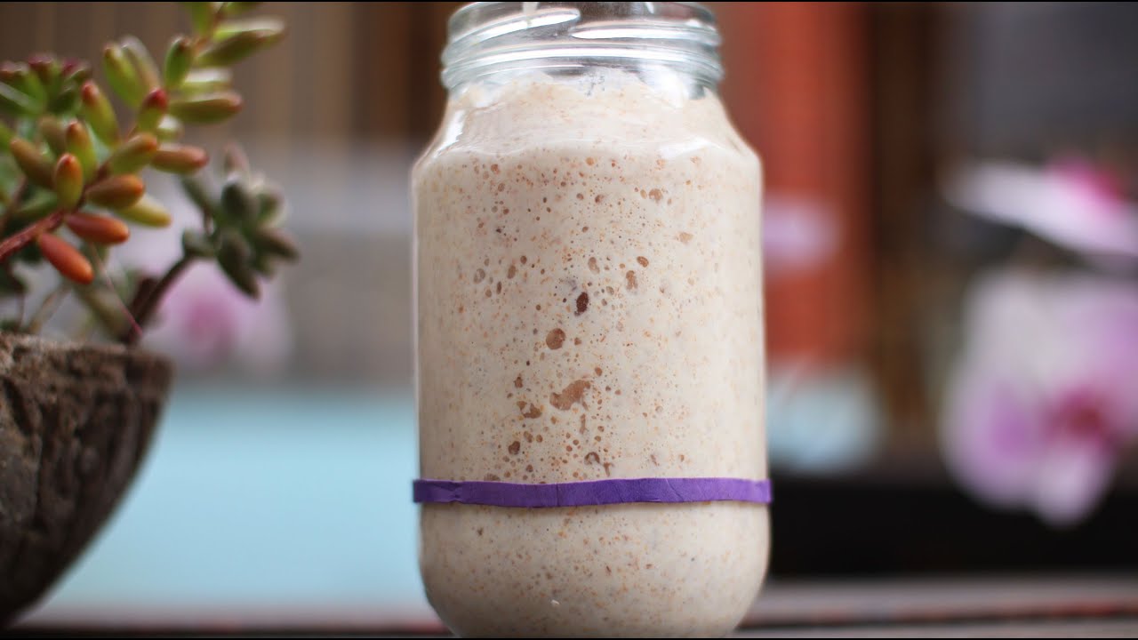 Como cuidar de seu Fermento Natural: um guia completo