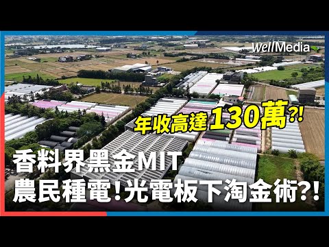 農民種田也種電！年收竟高達130萬？！光電板下的香料皇后MIT 台灣種的香草更香？【Well Talk】